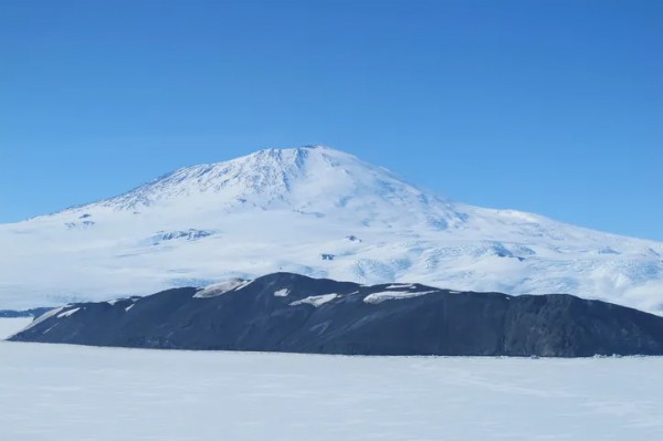 Sakın Çöpe Atmayın! Eski Telefonların İçindeki Gizli Hazine...
